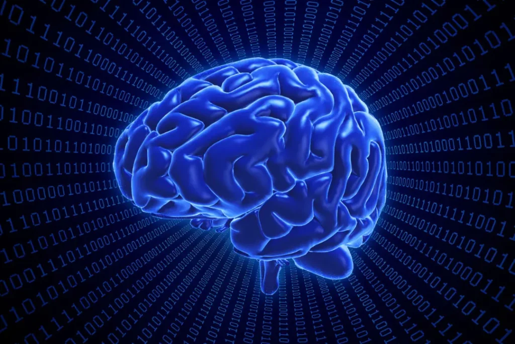 computer artwork of human brain