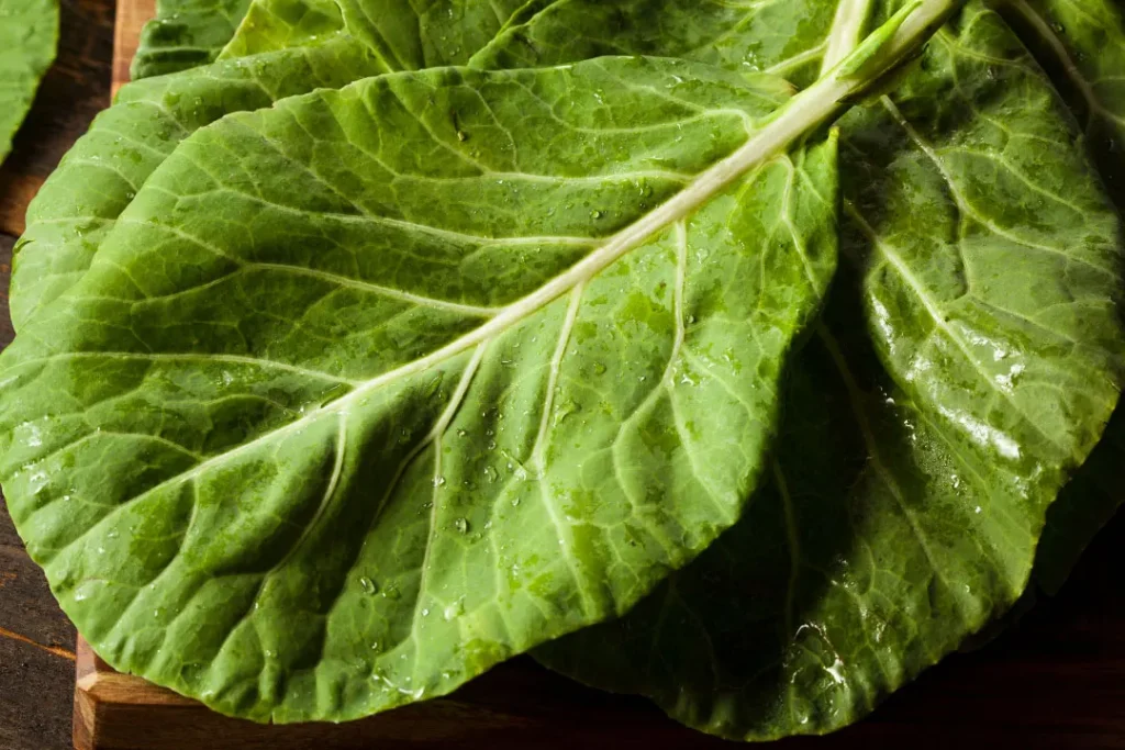 collard greens leaves on table