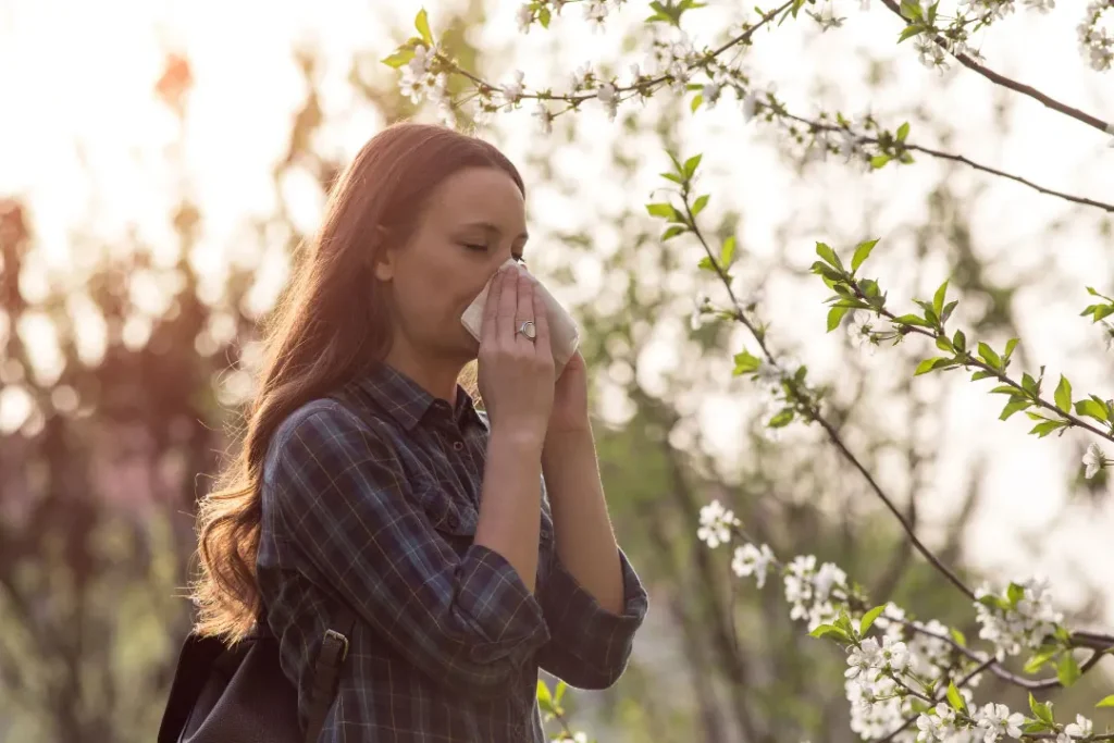 A lady cleaning her nose with the help of tissue paper. 