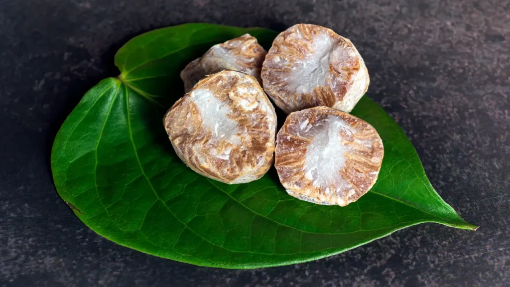 Betel Nut.