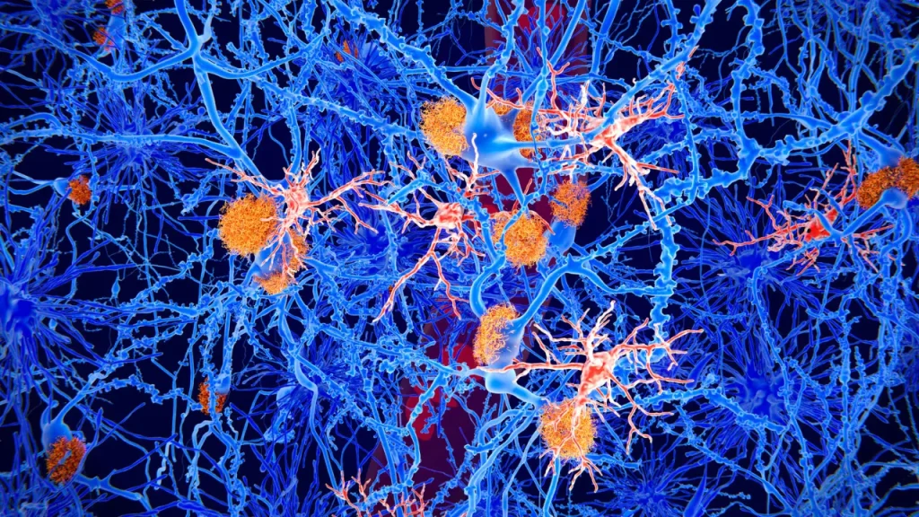 Healthy Neurons.