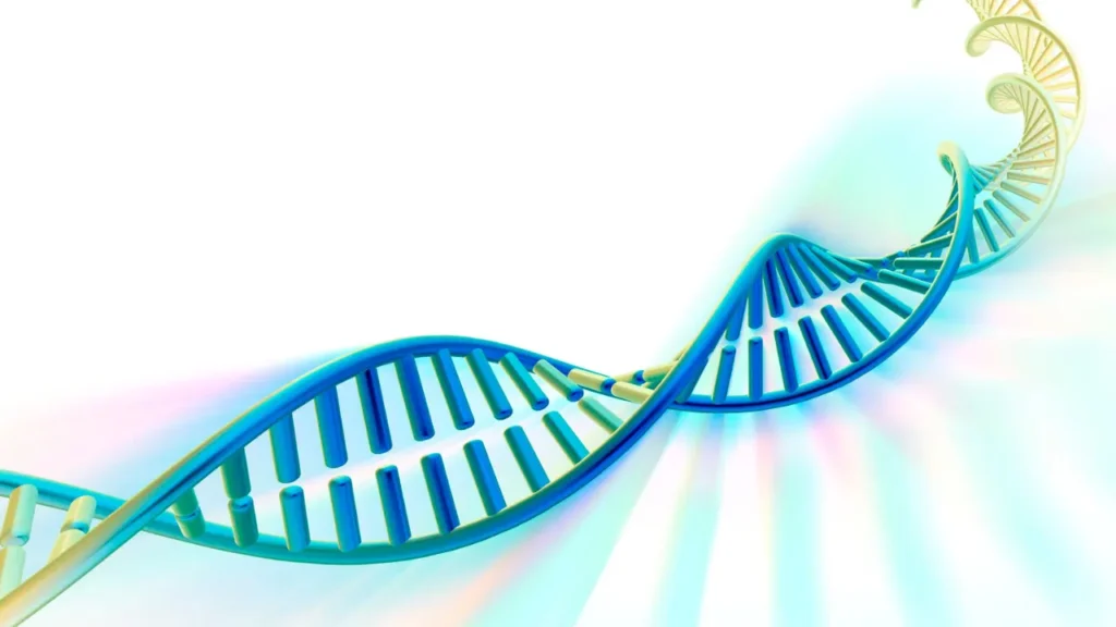 DNA structure. 