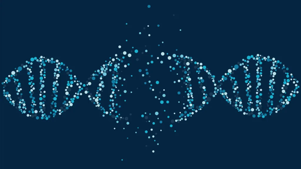 DNA structure. 