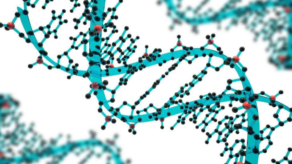 DNA structure. 