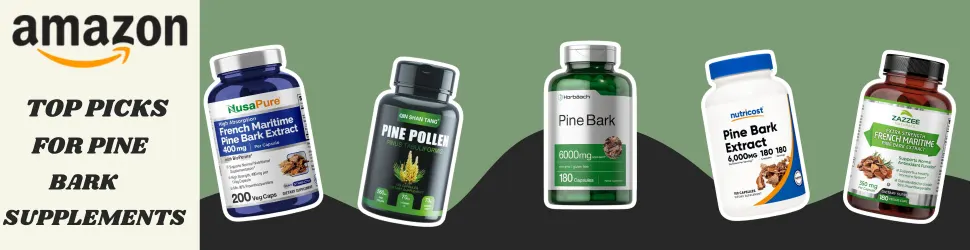 Elevate Your Health with Pine Bark Supplements—Perfect for Both Body and Brain—Available on Amazon!