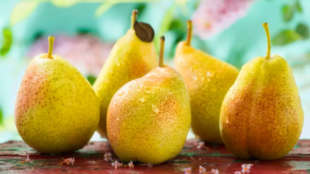 Pear Potential Nootropic Benefits, Dosage, Side Effects, Interactions, and Other Important Information About This Supplement