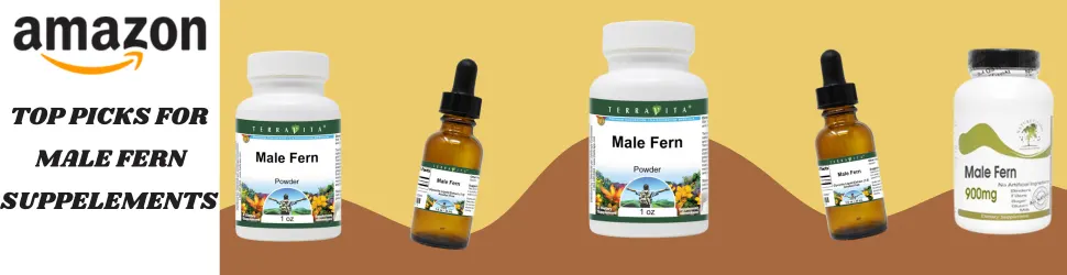 Promote Internal Cleanse and Brain Performance with Male Fern Supplements—Buy Today on Amazon!