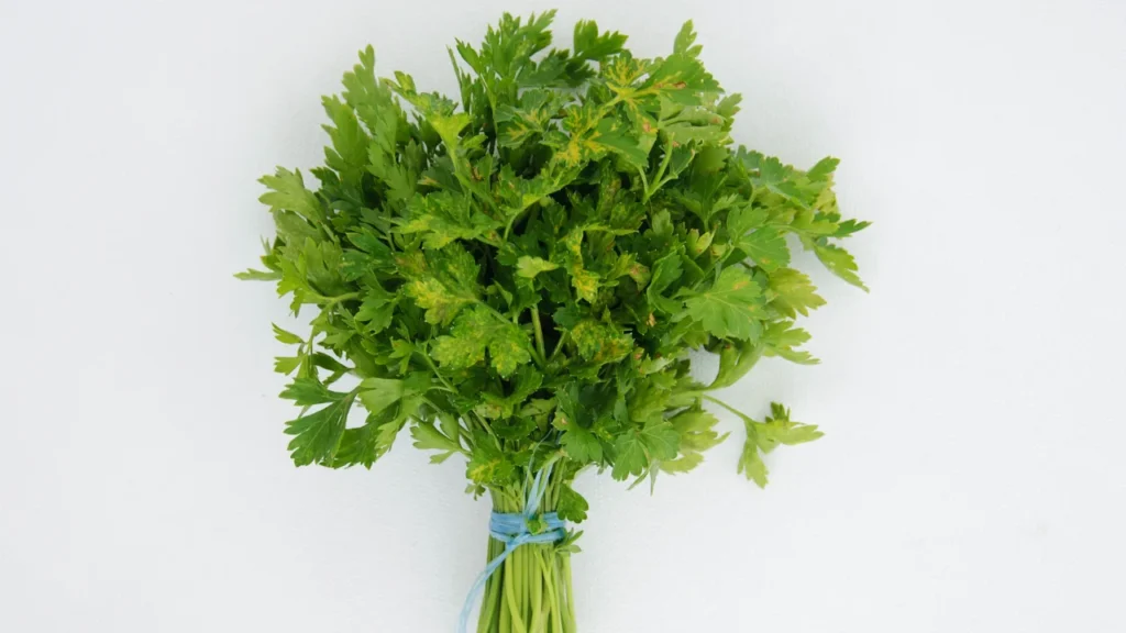 Parsley.