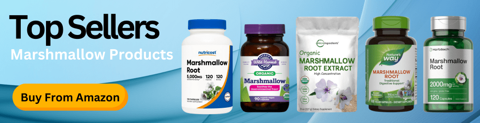 Marshmallow supplements aid in reducing oxidative stress, supporting long-term brain health—Boost Your Mind Naturally, Buy Now on Amazon!