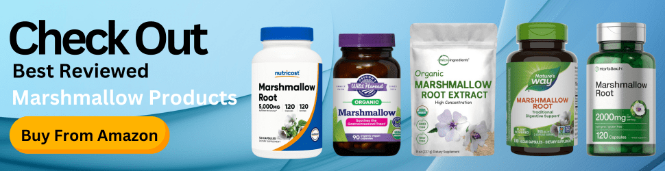 Marshmallow supplements enhance brain health by reducing inflammation and supporting neural protection—Shop Now for Holistic Wellness on Amazon!