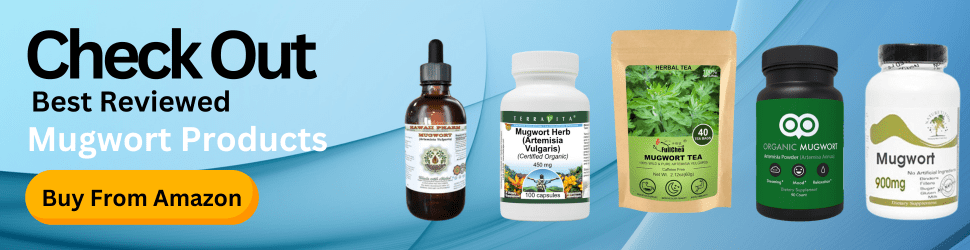 Mugwort supplements foster improved brain function and mental agility—Stay Alert, Order Now on Amazon!